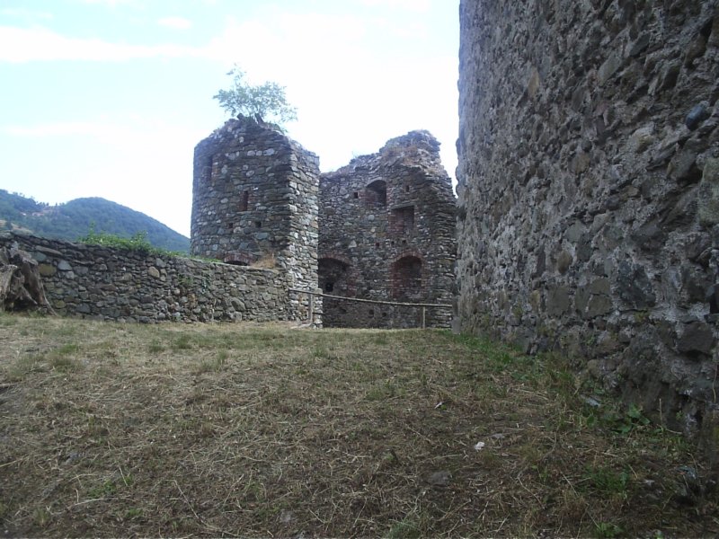 p7190026.jpg