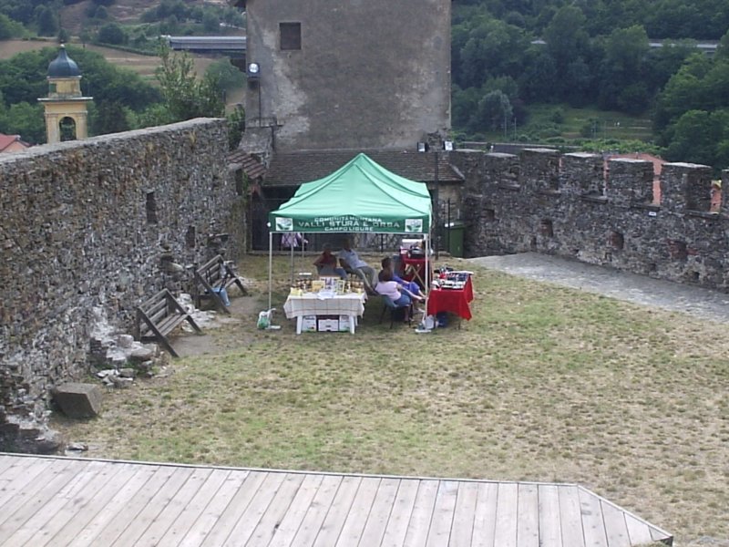 p7190047.jpg